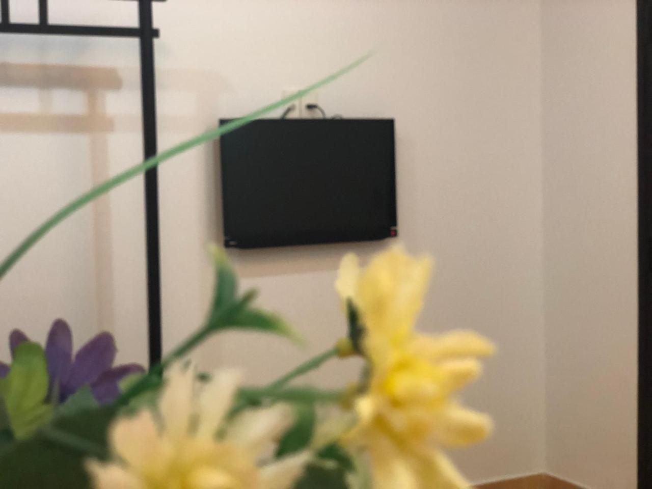Sea Sun Homestay 호이안 외부 사진